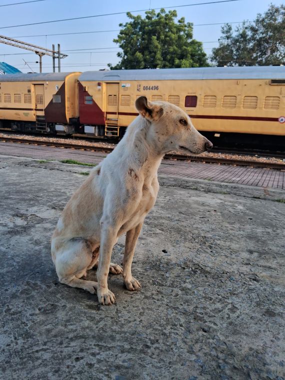An Indian railway station